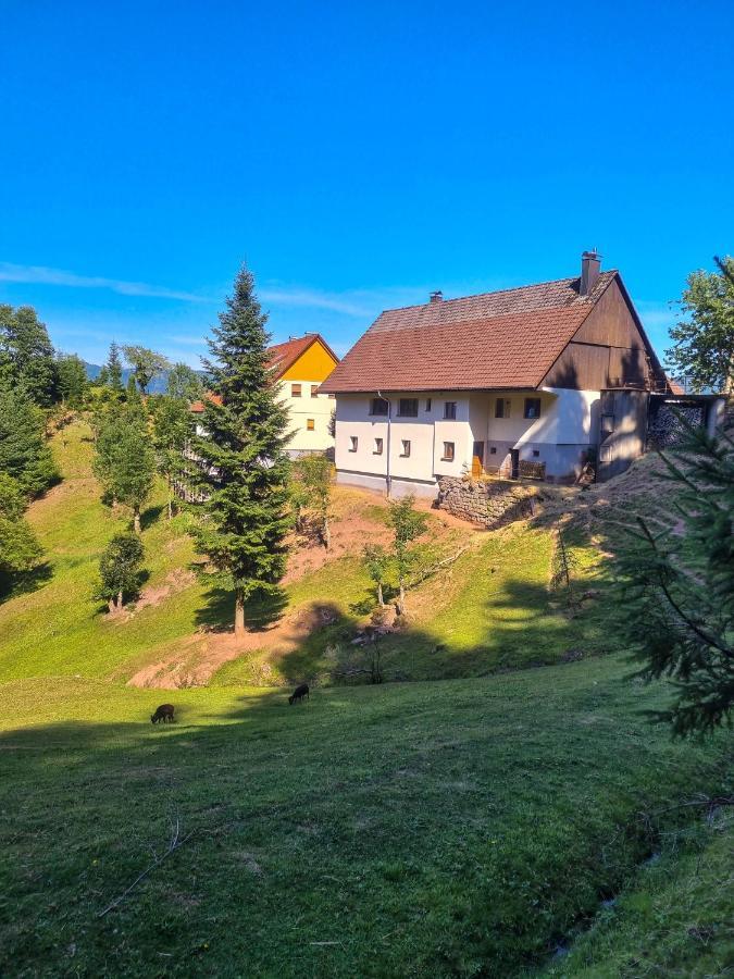 Ferienwohnung Holiswald Oppenau Bagian luar foto