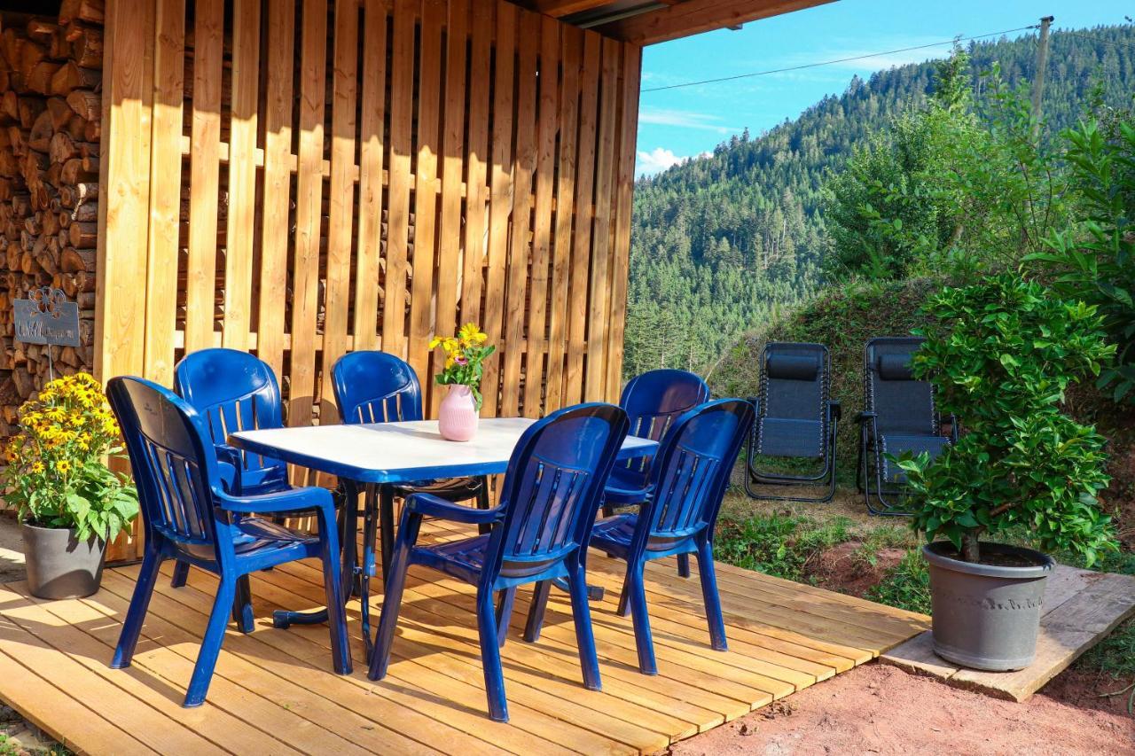 Ferienwohnung Holiswald Oppenau Bagian luar foto